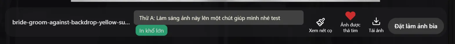 Các nút dưới ảnh